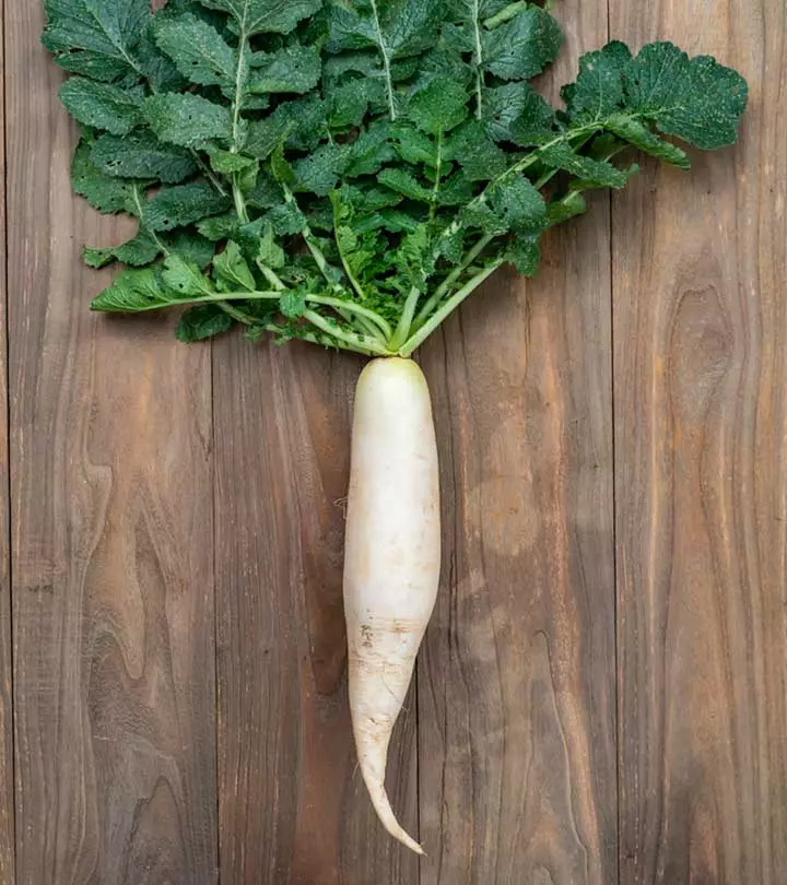 What Is Daikon Radish: Benefits, Nutrition, And Recipes