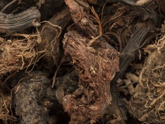 organic-spikenard-nardostachys-jatamansi-roots-macro