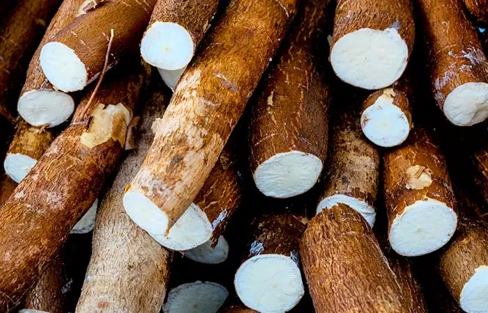 “Yucca” Is Used To Keep The Hair Of Amazonian Women Clean