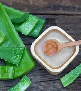 Aloe Vera For Lips Benefits And Uses