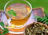 Moringa Tea Benefits For Health, Nutrition, And Preparation