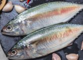 मैकेरल मछली के फायदे और नुकसान - Mackerel Fish Benefits and Side ...