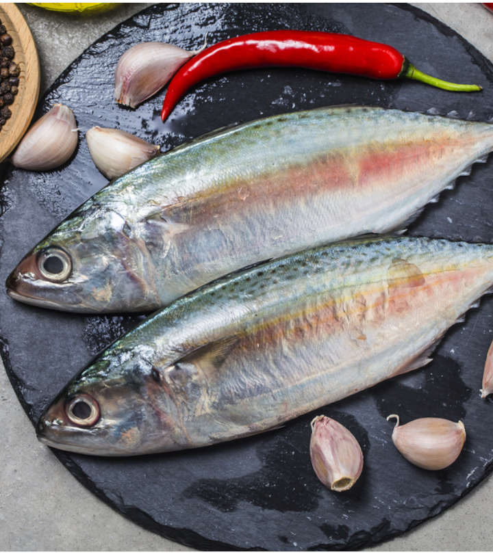 मैकेरल मछली के फायदे और नुकसान - Mackerel Fish Benefits and Side ...