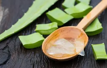 Massage Your Skin With Aloe Vera After Washing It