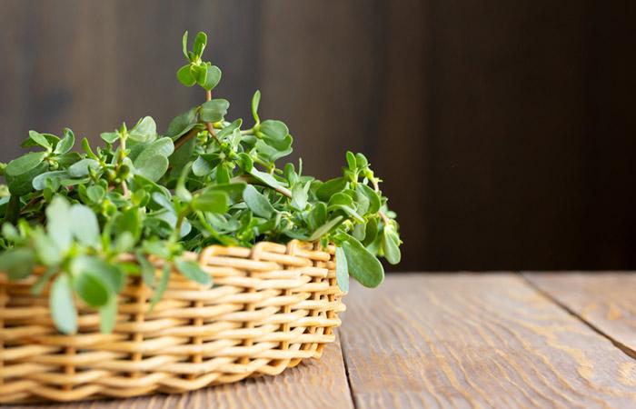 Health benefits of purslane