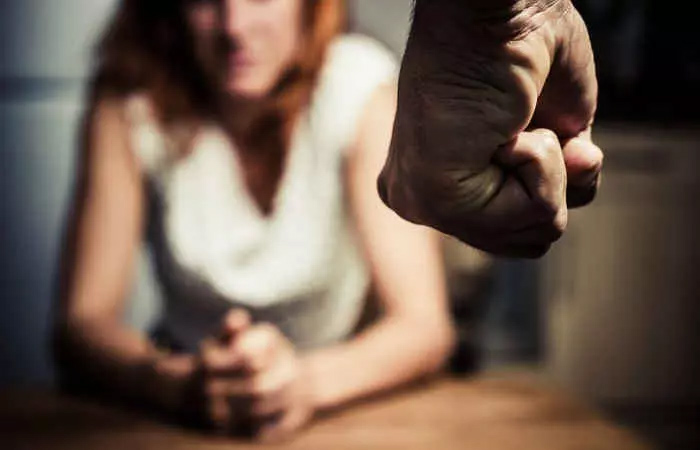 The Safeguard Of Females In Domestic Violence Act Also Covers Partners In Live-In Relationships