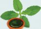 Tulsi Ark Benefits and Side Effects in Hindi