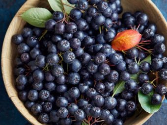 Aronia-Berry-Benefits---The-Superberry-That-You-Need-In-Your-Life