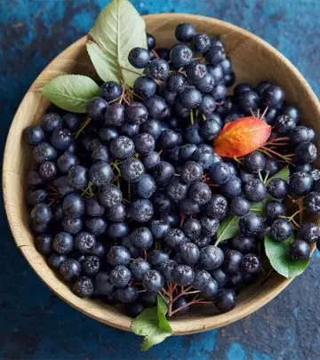 Aronia-Berry-Benefits---The-Superberry-That-You-Need-In-Your-Life