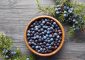 Juniper Berries: Uses, Health Benefits, And Side-effects