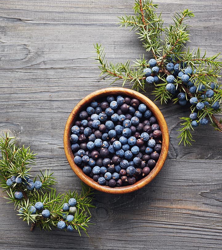 Benefits of Juniper Berries