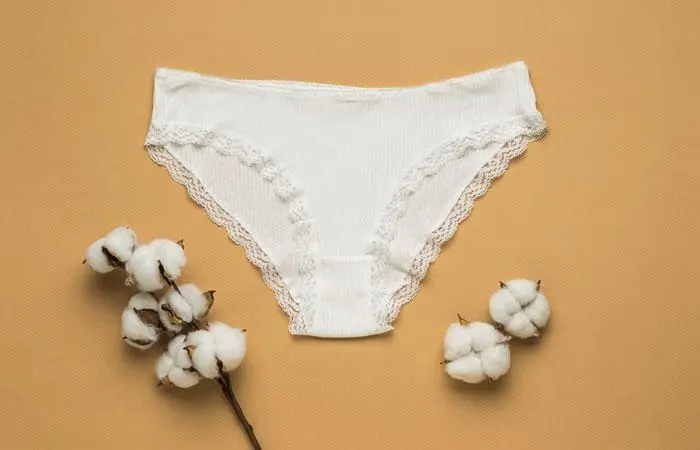 Briefs