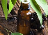 Eucalyptus Oil For Skin: Benefits, How To Use, And Side Effects