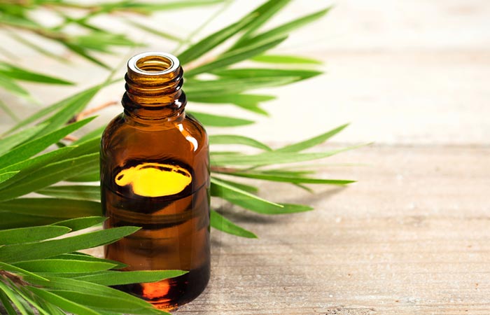 Tea tree oil minimizes sebaceous filaments