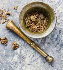 Valerian Root: Usage, Benefits, Side Effects, And Dosage