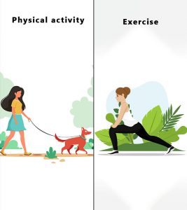 体育活动和锻炼的区别是什么?