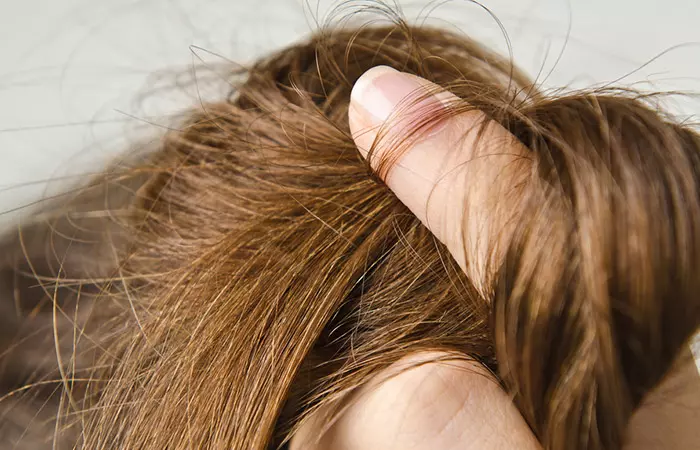 Your-Hair-May-Become-Brittle