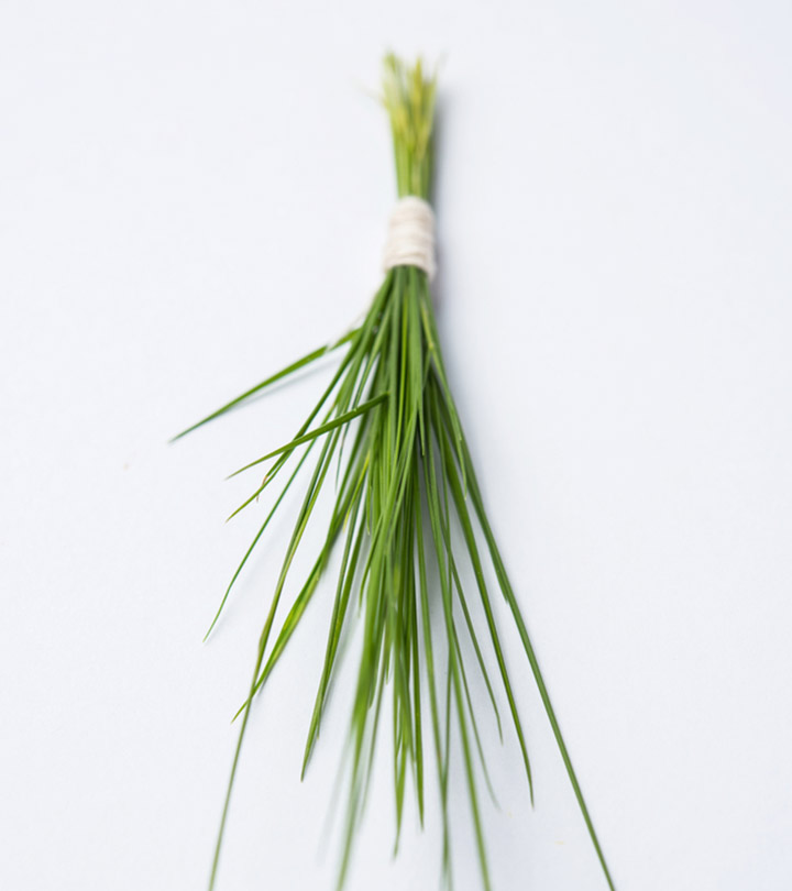 दूब घास के फायदे, उपयोग और नुकसान - Durva (Doob) Grass Benefits ...