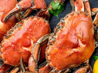 Crab-Nutrition-The-Good,-The-Bad,-And-Everything-Else
