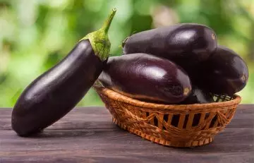 Egg plants are high in lectins