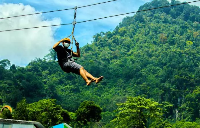 Flying-Fox