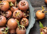 Medlar Fruit - Benefits, Nutrition Facts, Recipes [Important Winter Fruit]