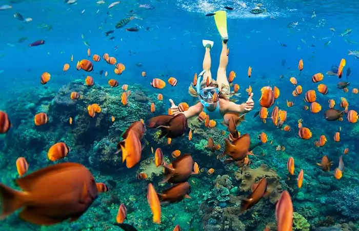 Scuba-Diving
