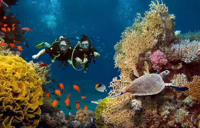 Person doing scuba diving