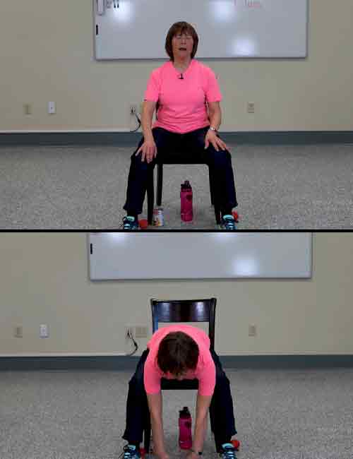 Seated forward bends core exercise for seniors