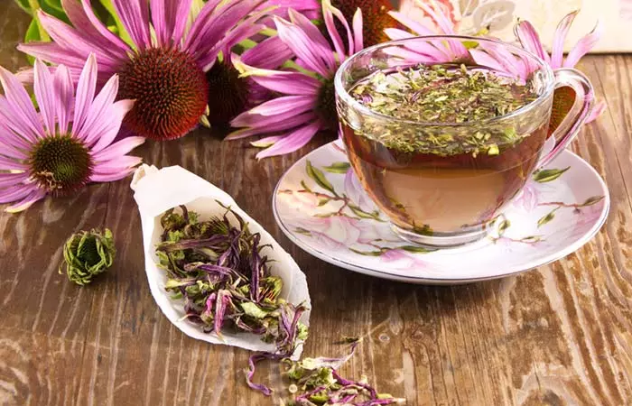 Take-Echinacea