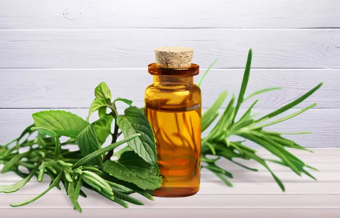 Tea tree oil to remove skin tags at home