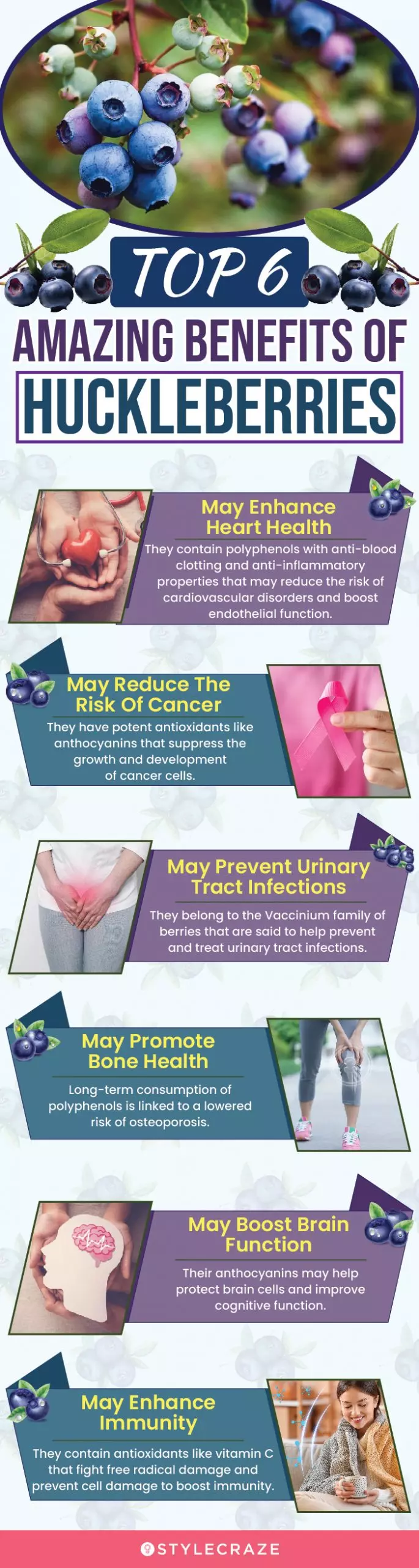 top 6 amazing benefits of huckleberries (infographic)