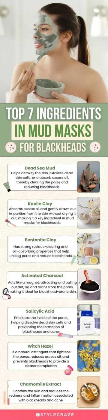 Top 7 Ingredients In Mud Masks For Blackheads (infographic)