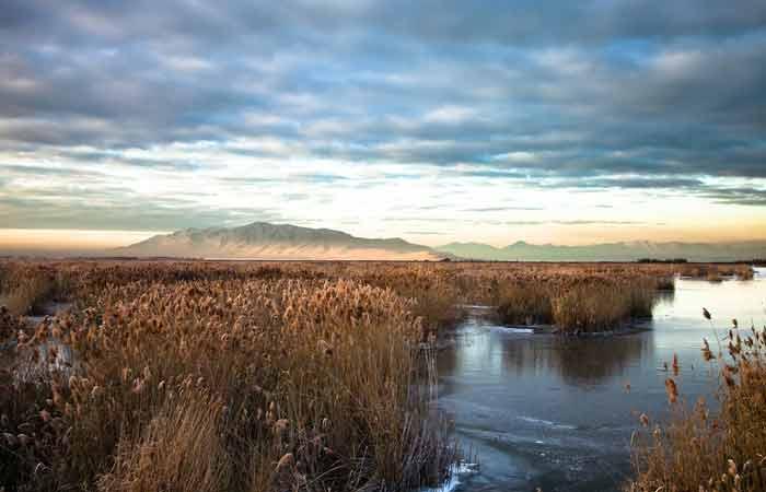 Water-Babies,-Utah