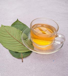 What Is Kratom Tea Benefits, Risks, And More