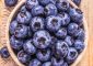 Huckleberries: Nutrition, Types, Bene...