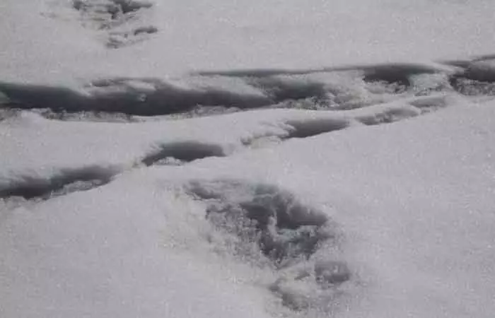 Yeti,-Himalayas