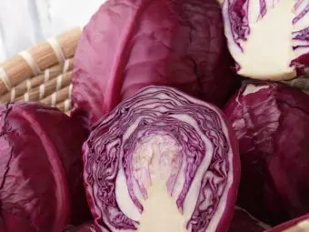 Health Benefits Of Red Cabbage, Nutrition, And Side Effects