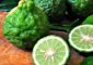 Bergamot Fruit: Health Benefits, Uses, Side-effects, And More