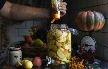 Jar of apple slices for making cider vinegar