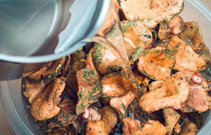 Woman preparing turkey tail mushroom tea