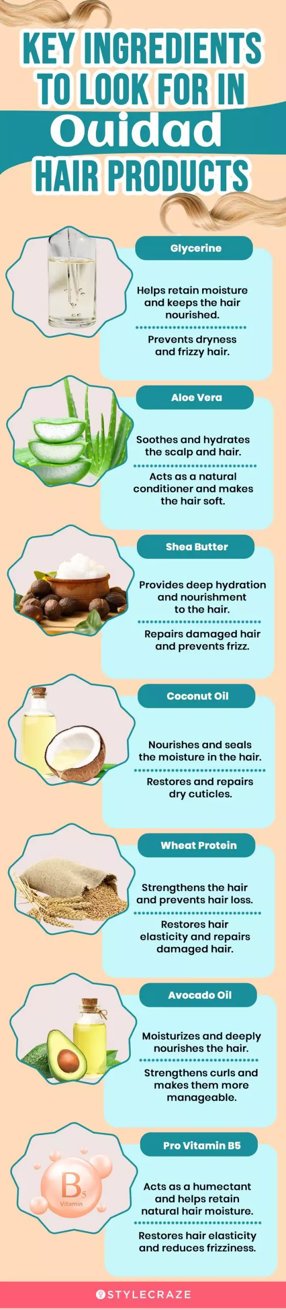 Key Ingredients To Look For In Ouidad Hair Products(infographic)
