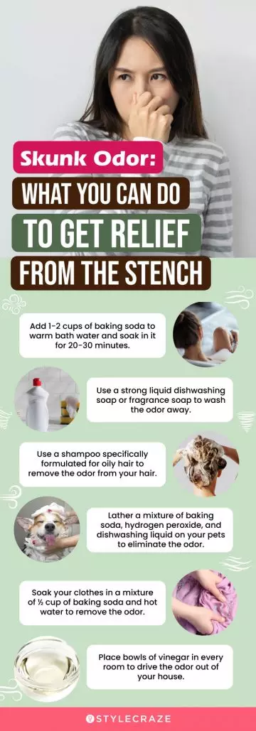 skunk odor what you can do to get relief from the stench (infographic)