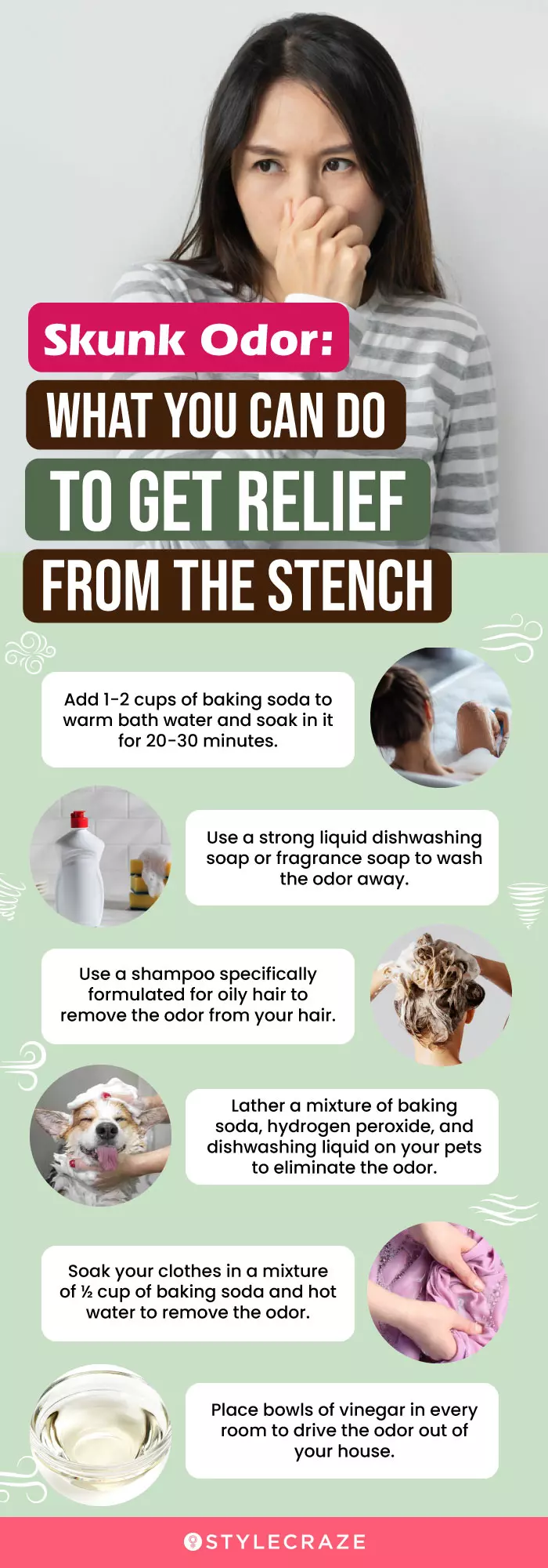 skunk odor what you can do to get relief from the stench (infographic)
