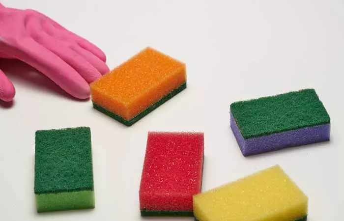 Sponges