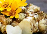 Sunchoke: Nutrition, Benefits, Preparations, And All That You Need ...