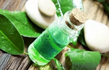 Tea tree oil as one of the home remedies for removing skin tags