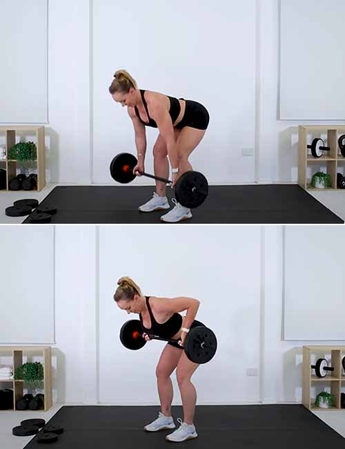 Barbell bent over row exercise for women