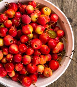 Crab Apples All You Need To Know
