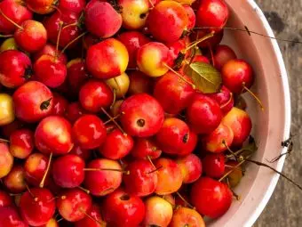 Crab Apples: Nutrition, Varieties, Benefits, And Risks